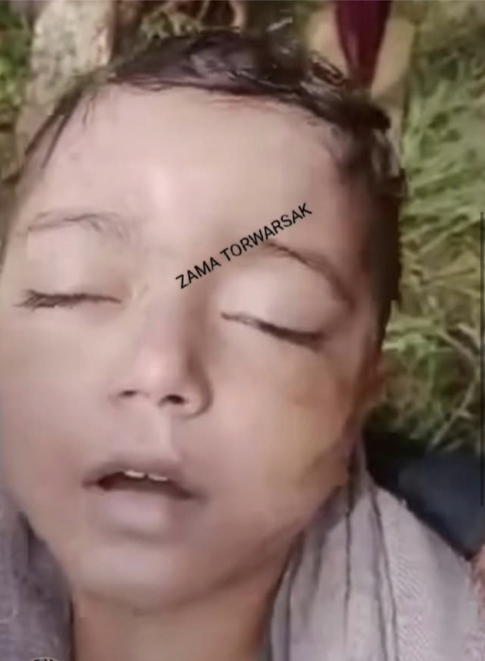 Screenshot 2025-08-17 at 10.53.32 AM