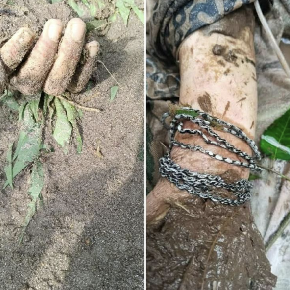 Screenshot 2025-08-17 at 10.54.04 AM